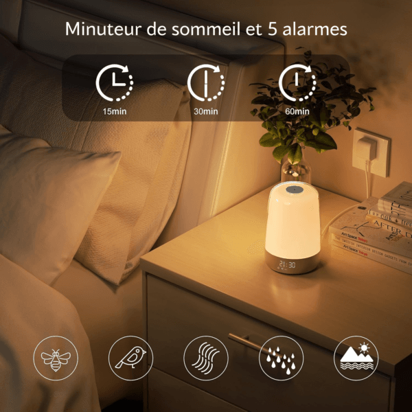 mdjvjzbcvjbshjdbv Réveil luminothérapie et ses plusieurs alarmes